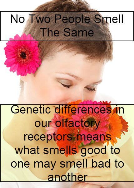 Genetic Differences In Our Olfactory Receptors Means What Smells Good