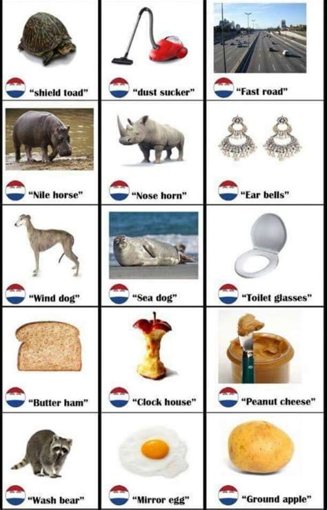 Dutch Words Translated Literally In To English Dutch Words Funny
