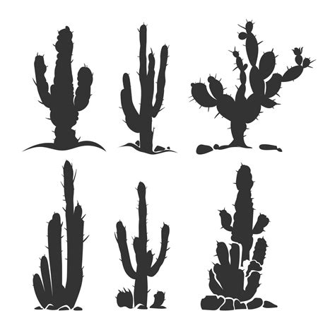 Desert Cactus Vector Silhouette Plants Isolated On White By Microvector