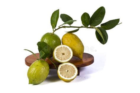 Lemon Tree Stock Photo Image Of White Fruits Food 214772984