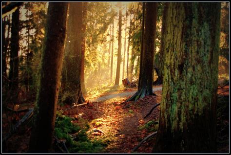 Hintergrundbilder Sonnenlicht Landschaft Wald Natur Park