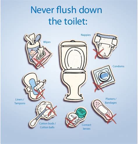 5 Things That You Should Never Flush Down The Toilet Lesco Plumbing