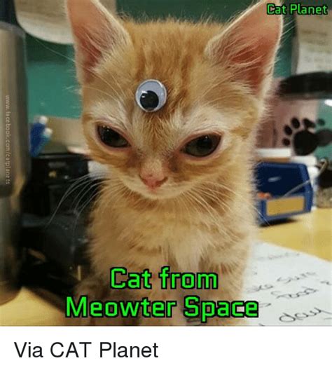 no please go on cat meme cat planet cat planet images