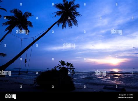 Coconut Palms And Swing On Sand Beach In Tropic On Sunset Thailand
