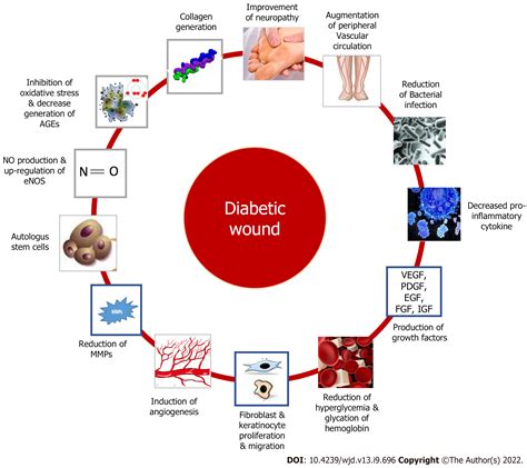 Evolving Spectrum Of Diabetic Wound Mechanistic Insights And