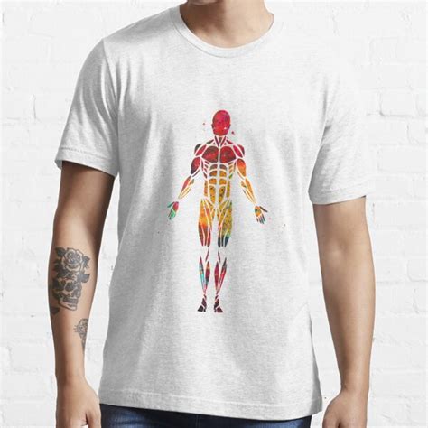 Male Muscular System T Shirt By Erzebetth Redbubble Male Muscular