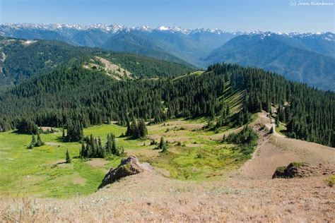 Pacific Northwest Photography Olympic Peninsula Hurricane Hill Trail