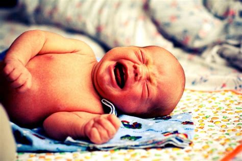 Descubra Por Qué Los Bebés Amamantados Lloran Más Runrun