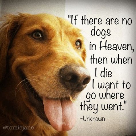 What all of us know put together don't mean anything. Heaven Quotes Will Rogers Dogs. QuotesGram