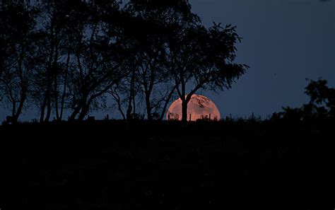 Moonscape Photograph By Betsy C Knapp