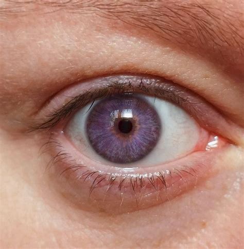 Purple Eyes Violette Augen Schöne Augen Augenformen