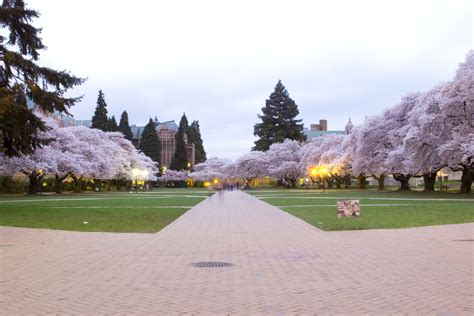 61 University Of Washington