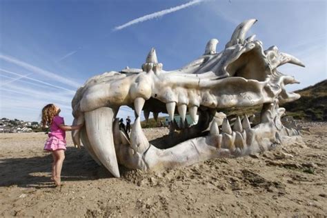 The Huge Dragon Head On British Coast 4 Pictures Memolition