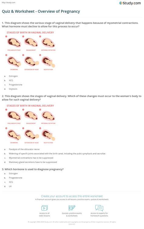 Quiz Worksheet Overview Of Pregnancy Study Com