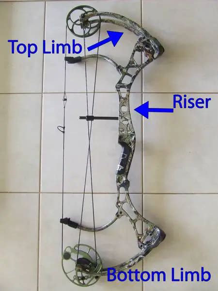 Compound Bow Draw Weight Scale Blue Worance