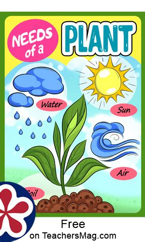 Printable Plant Science Posters For Use With Young Students