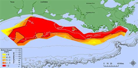 Northern Gulf Of Mexico Hypoxic Zone Mississippi Rivergulf Of Mexico