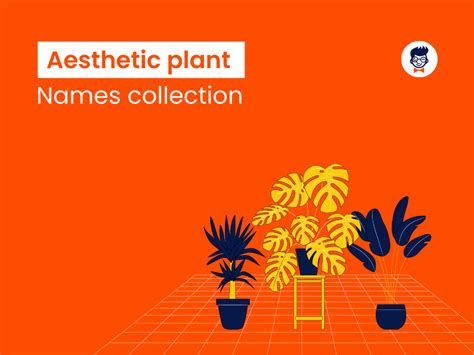 List Of Aesthetic Plant Names Collection Generator Brandboy