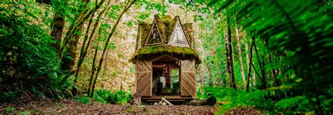 The cabin in the woods. Jacob Witzling handcrafts off-grid cabins with salvaged ...