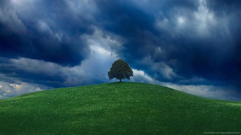 Free Download Download 1366x768 Lonely Tree Under Heavy Clouds