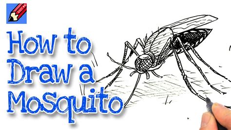 How To Draw A Mosquito Real Easy Youtube
