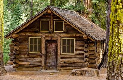 Forest Wood Tree Chalet Stump Wallpapers Dog