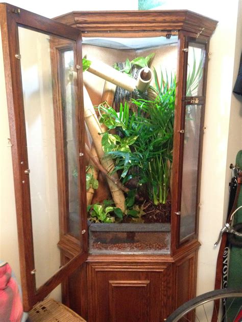 All these options have inherent advantages and drawbacks that you should keep in mind before buying a home for your pet. DIY Chameleon Cage- Convert china cabinet into arboreal vivarium