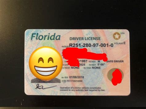 Fake Drivers License Maker Florida Draw Level