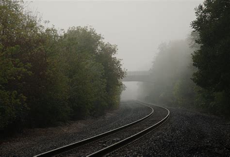 Misty Tracks Bill Vandermolen Flickr