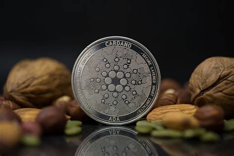 A Closer Look At Cardano Coincheckup Blog Cryptocurrency News Articles And Resources
