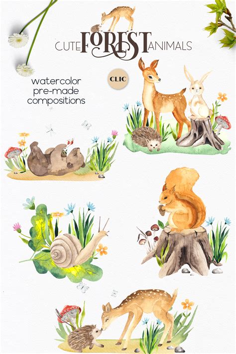 Watercolor Forest Animals By Ana Sakuta Thehungryjpeg