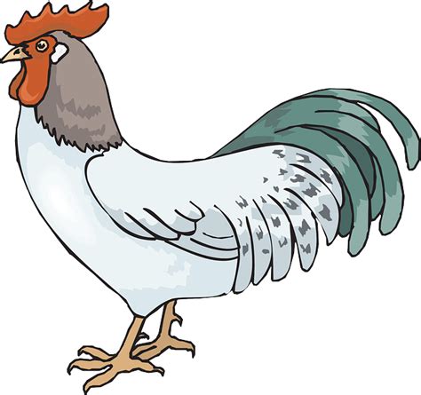 Free Vector Graphic Rooster Cockerel Cock Male Free Image On Pixabay 45941