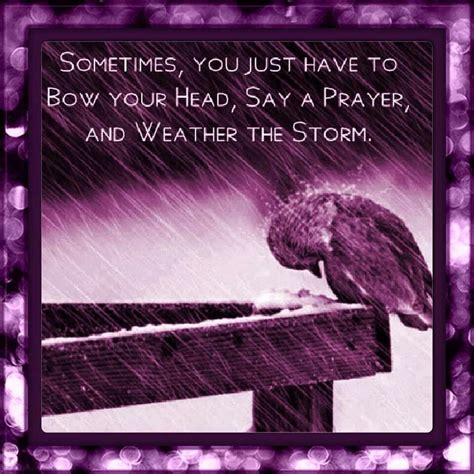 Weathering The Storm Inspirational Quotes Quotesgram