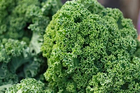 Kale The Queen Of Vegetables