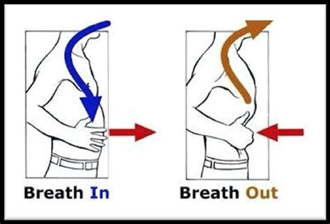 Dysfunctional Breathing Patterns And Health — Focus Chiropractic