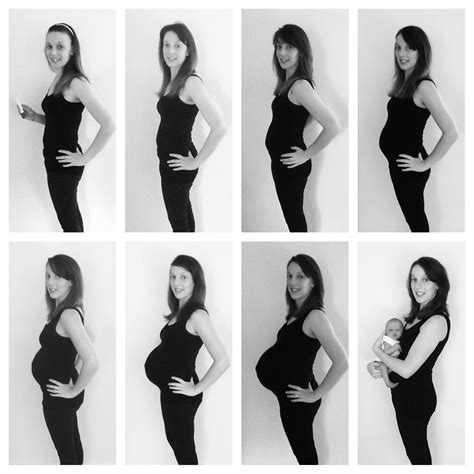 Pregnancy Progression Bump Watch Photo Taken Every 4 Weeks Of Pregnancy