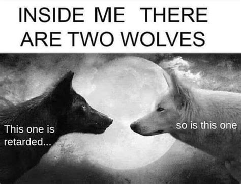 Explains All The Howling At The Moon Inside You There Are Two Wolves