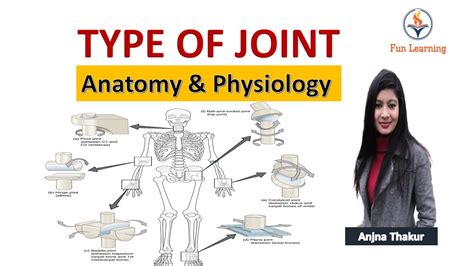 Type Of Joint In Hindi Synovial Fibrous