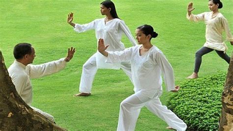Basic Tai Chi Exercises For Beginners And Seniors Vkool Page 2