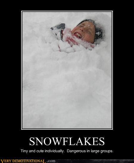 Snowflakes Very Demotivational Demotivational Posters Very