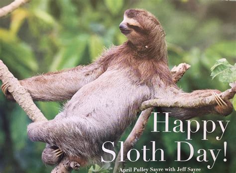 Happy Sloth Day Blank Template Imgflip