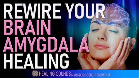 Rewire Your Brain From Anxiety Calm Your Amygdala Theta Waves