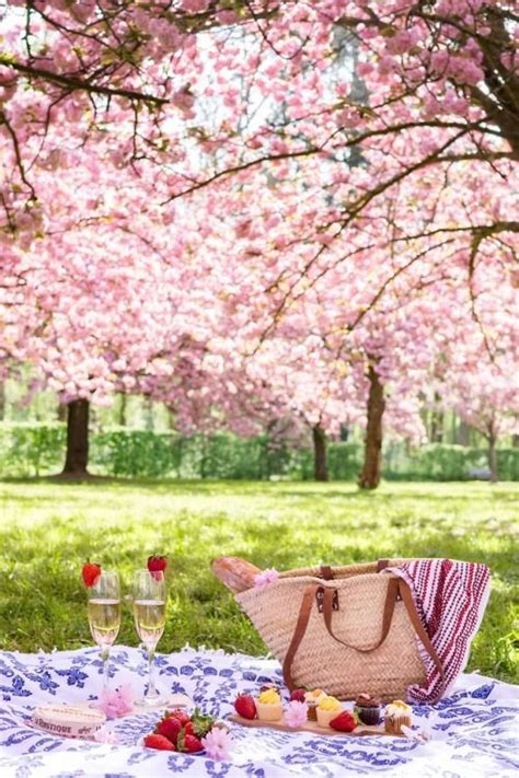 Pin By Dorothymartin On A Pleasant Afternoon Picnic Inspiration