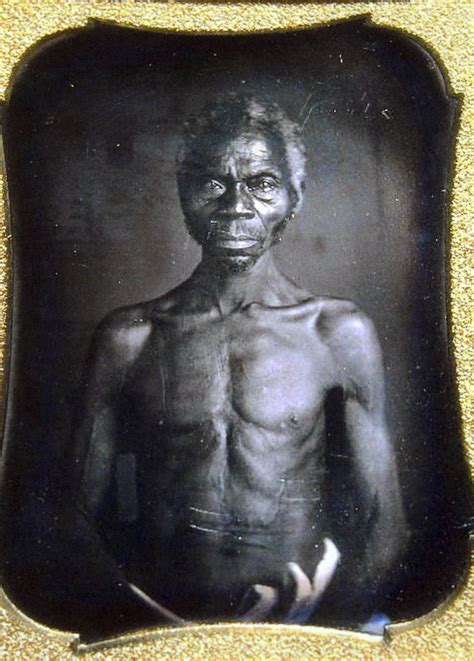 lawsuit harvard profits from early photos of slaves cbs chicago