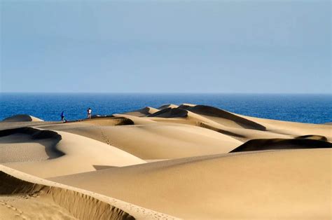 Wüste Auf Gran Canaria Dünen Maspalomas【2024】 Villagrancanaria