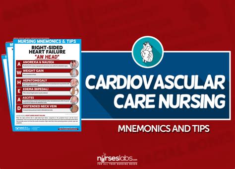 Cardiovascular Care Nursing Mnemonics And Tips Nurseslabs
