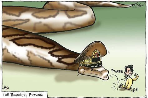 The Burmese Python Mark Knight Cartoon 3 April 2012 Burmese Python