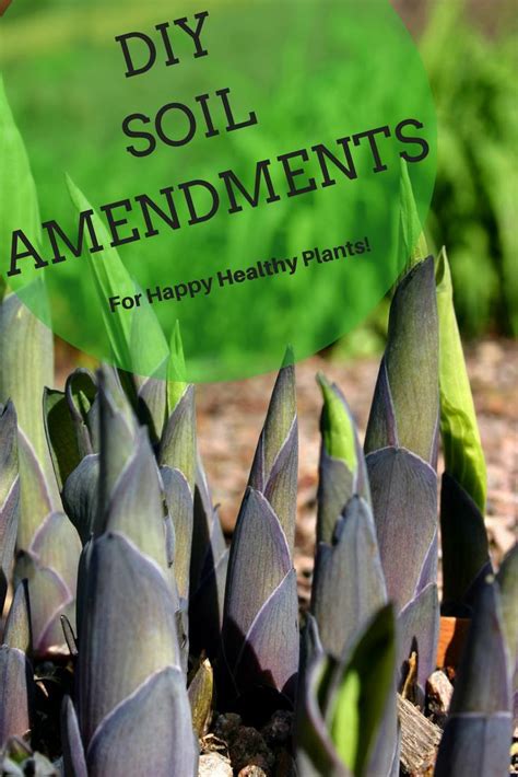 You can even add a kelp meal to this soil amendment option for more nutrients. Free Soil Amendments | Soil amendment, Garden soil ...