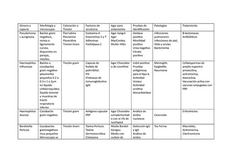 Cuadros Comparativos De Bacterias Clasificación Morfologia Género Y