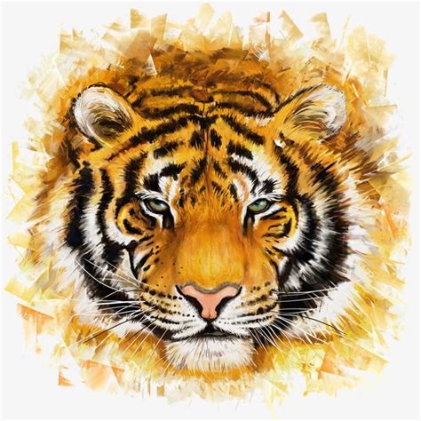 Tigre Del Bengala Bengal Tiger Diy Painting Picture Gifts Art My XXX